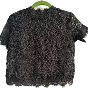 Level Eight Sheer Sheer Lace Boxy Short Sleeve Top Grey